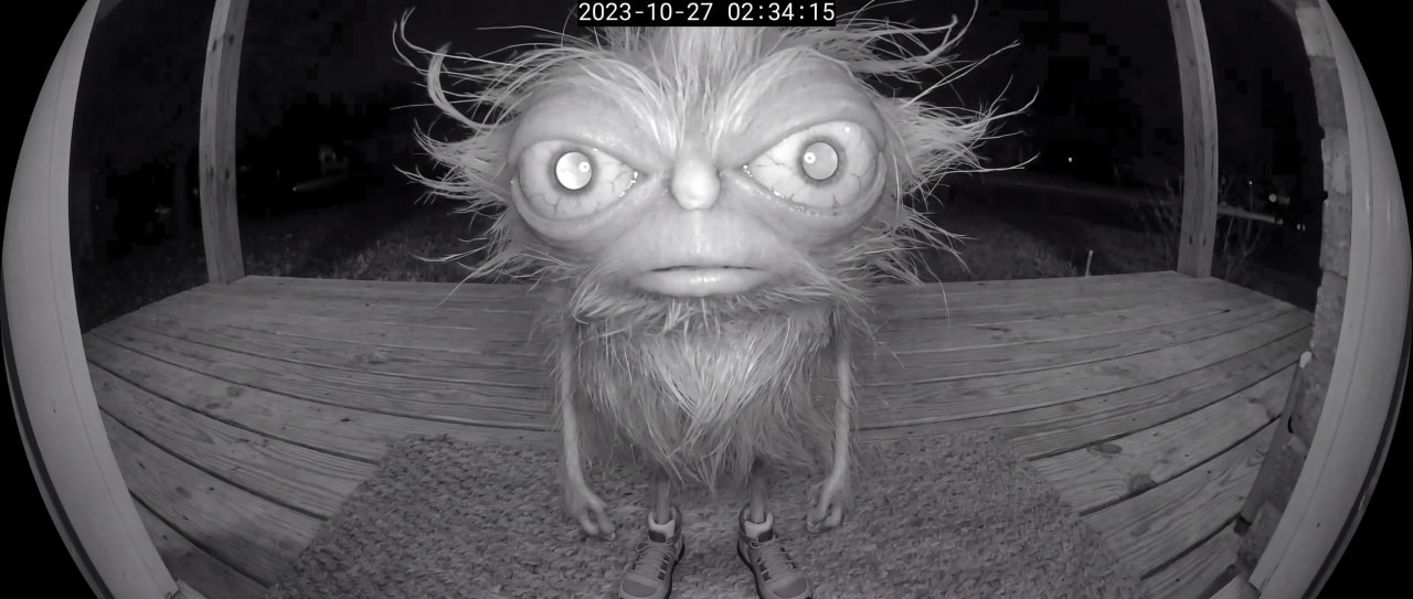 Roo, caught on camera: front porch